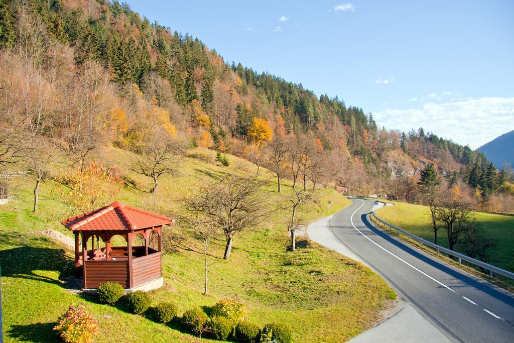 Farm Stay Bukovje Ljubno Bagian luar foto