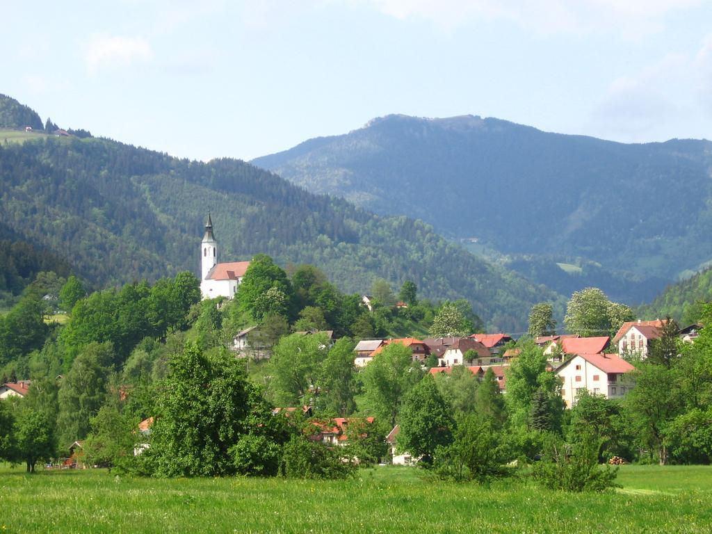 Farm Stay Bukovje Ljubno Bagian luar foto